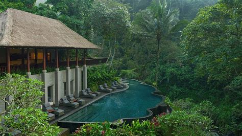 maya ubud|maya ubud tripadvisor.